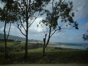 La ville et la Côte de Dellys