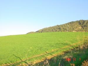 Les Prairies de Boumerdes