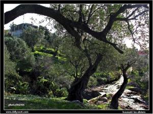 Paysage de Boumerdes