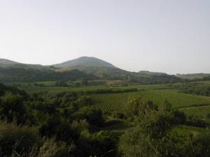 Champs agricoles de Sidi-daoud