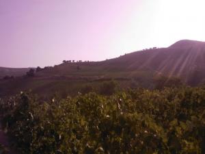 Les Montagnes Boumerdes