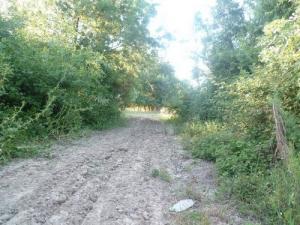 Chemin campagnard dans la périphérie de Boumerdes