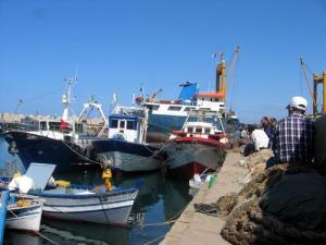 Bateaux de Pêche au Port de Dellys