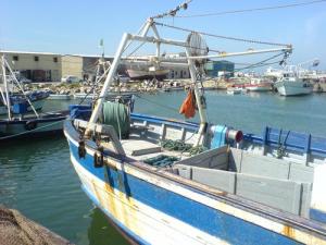 Port de Pêche de Zemmouri