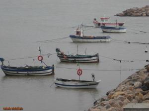 Bateaux de Pêche au port de Zemmouri