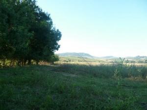 Paysage de Boumerdes