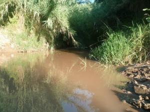 Un Cour d'eau traversant la forêt de Boumerdes