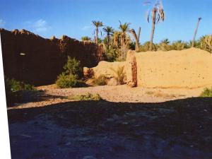 منظر من واحة  تيوت