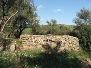 Village Tiniri (Commune de Bouaddou)