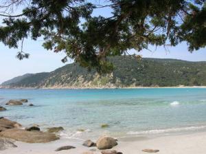 Plage de la Vieille Calle à El TAref