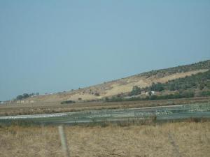 Lac des oiseaux, Taref, Algerie.