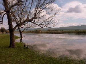 Lac Tonga (Wilaya El Tarf )