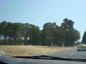 En route pour la commune de  Oum Tboul