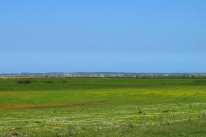 Le Printemps sur El Taref