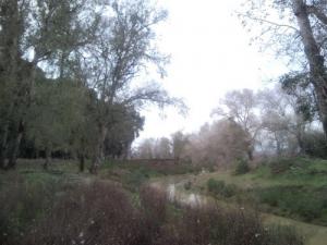Un Site Naturel dans la wilaya d'El Tarf