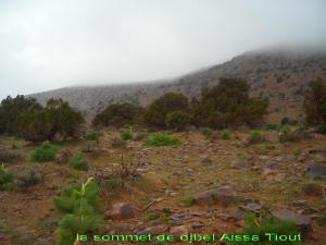 قمة جبل  عين عيسى