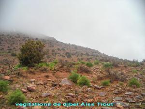 منظر من جبل  عين عيسى  1