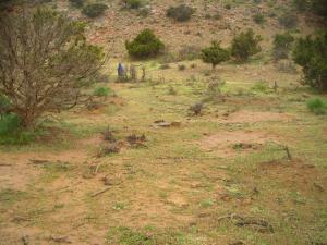 منظر من جبل  عين عيسى  2