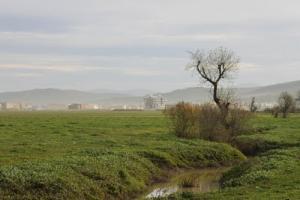Champs agricoles dans la périphérie d'El Tarf