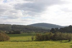 L'Hiver sur El Taref