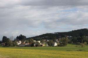 Le Printemps à Taref