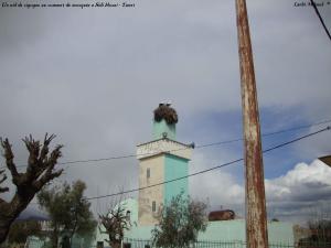 منارة جامع سيدي حسني (ولاية تيارت) 2