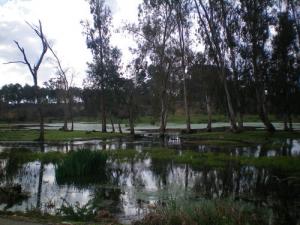 Route Plage -Messida-