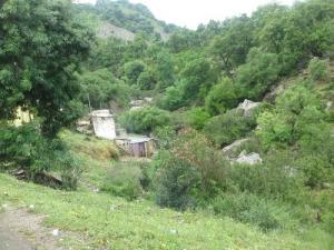 Bain thermal -Hammam Sidi Trad-