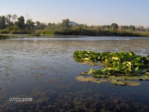 Grand Lac Tonga à El Kala