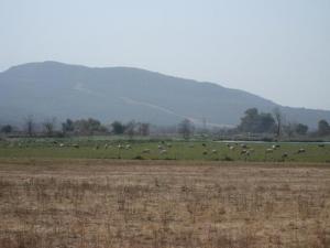 Lac Tonga, El-Kala, Algerie