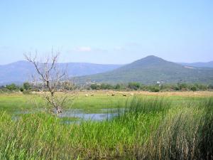 Paysage du Lac Tonga