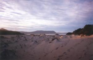 Plage  Vergés  (Embouchure)