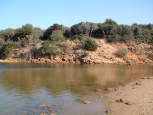 Embouchure du lac Mellah