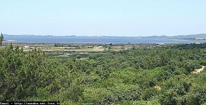 El Kala - Lac Mellah