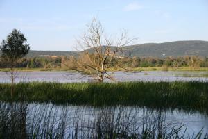 Paysage du Lac Tonga