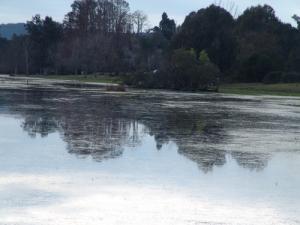 Les Eaux du Lac Tonga