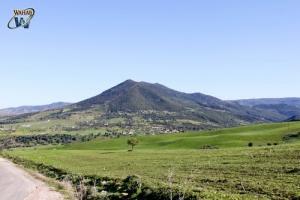 Djebel Groun Aicha - Seliana - Commune de Bouhadjar