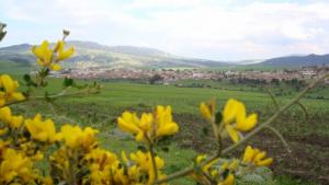 Paysage de Bouhadjar, Wilaya d'El-Taref