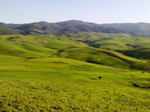 Le Verdure de Bouhadjar au Printemps