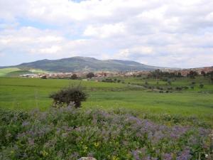 Beauté de Bouhadjar au Printemps