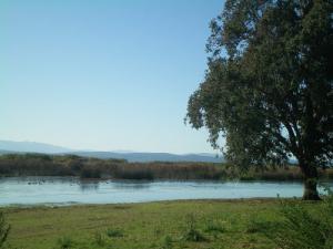 Vue sur le Lac Mellah