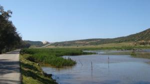 Route entre L'auberge  Tonga  et la plage  Missida