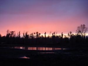 Vision d'un Lac à  El Tarf