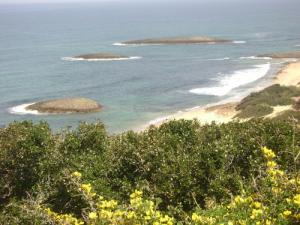 Les iles bébé d'el Kala -Algérie-