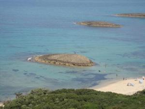 El-Kala, Hawai de l'Algerie.