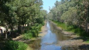 Lac Tonga (El-Kala) Balade sur une barque