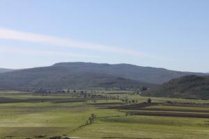 Verdure de Taref au Printemps