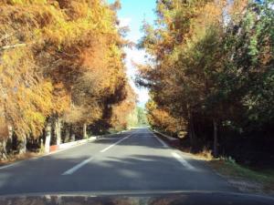 Sur la route du LacTonga