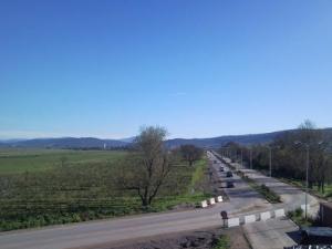 Aux abords d'El Tarf