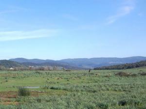 Les Vertes Prairies d'El Taref